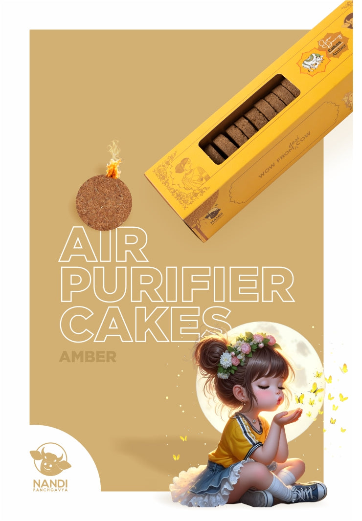 Air Purifier Cake