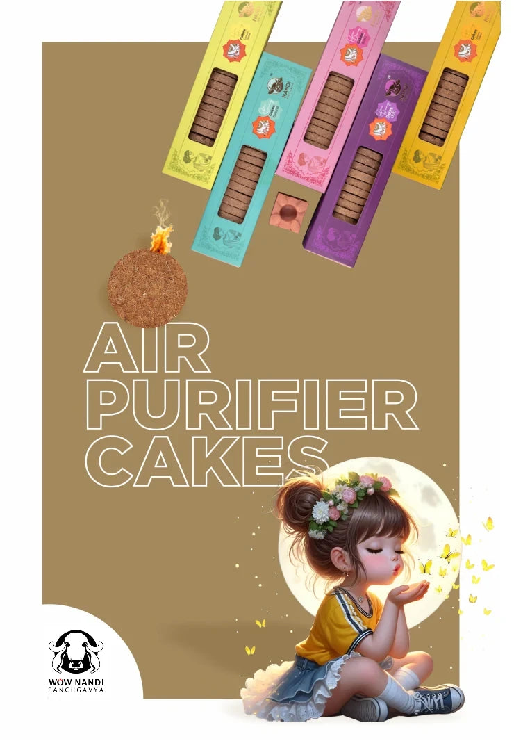 Air Purifier Cake