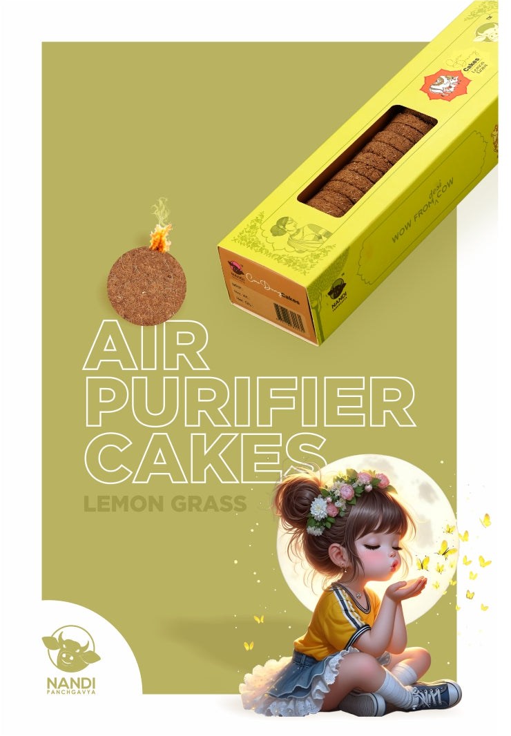 Air Purifier Cake