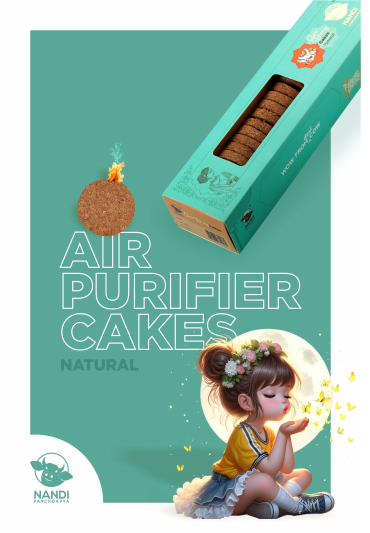 Air Purifier Cake