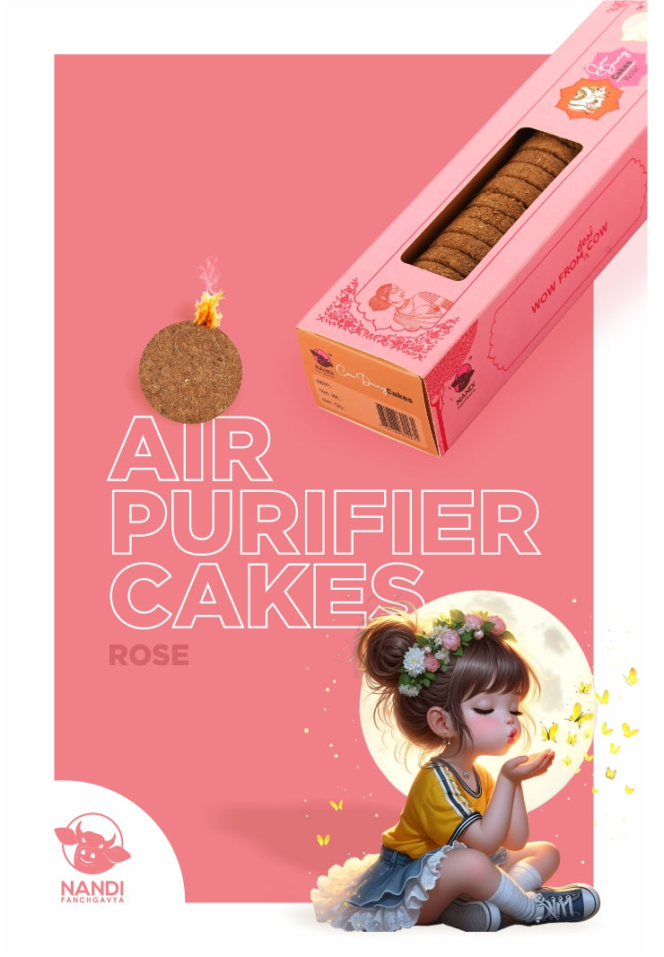 Air Purifier Cake